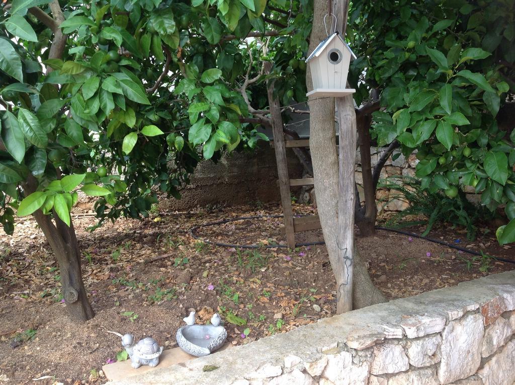 Apartmani Roic Stari Grad  Luaran gambar